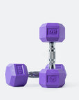 WANDERBAR HEX DUMBBELLS