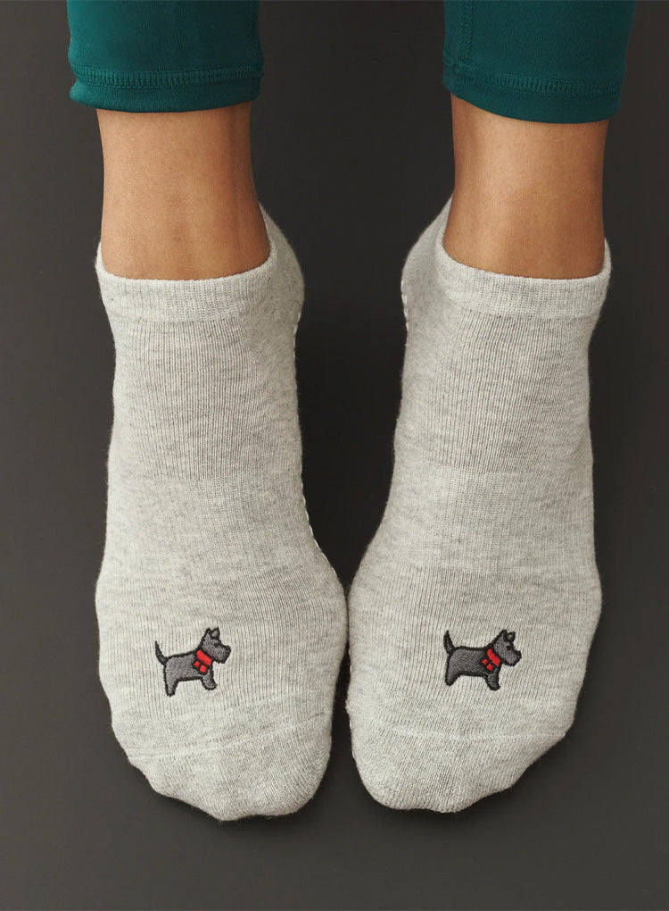COSY PUP